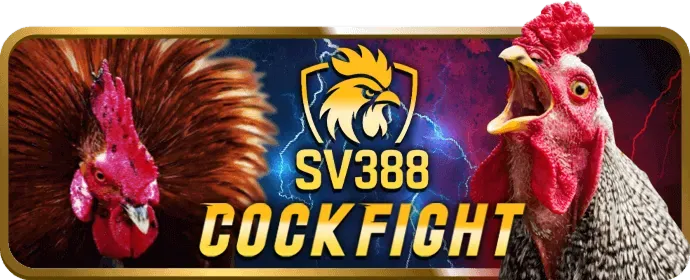Kèo BDD (Hòa) trong đá gà 11bet win